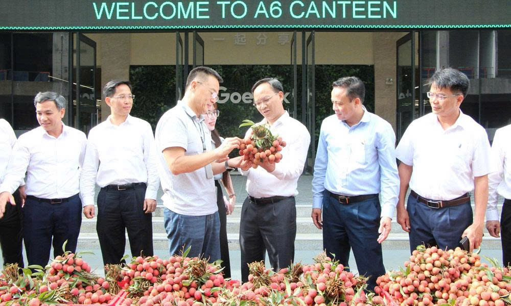  Doanh nghiệp trong khu công nghiệp chung tay tiêu thụ hơn 100 tấn vải thiều